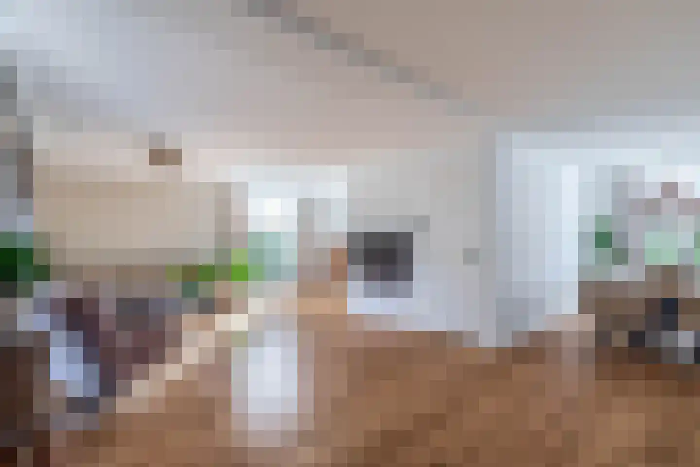 Lisvoort 18 Helmond thumbnail 19