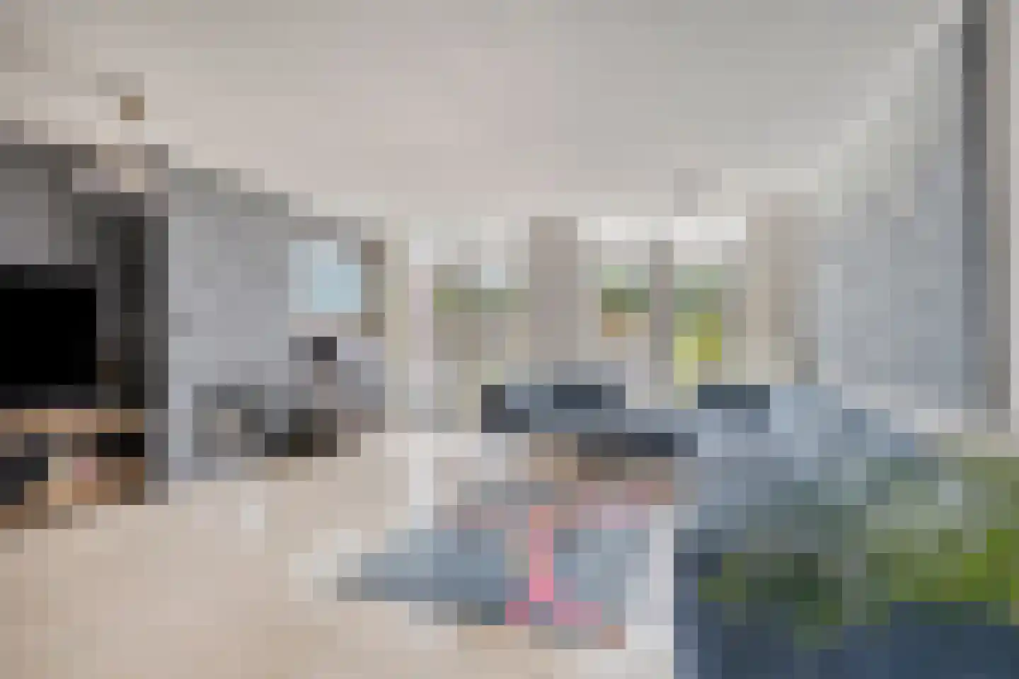 Lisvoort 3 Helmond thumbnail 11