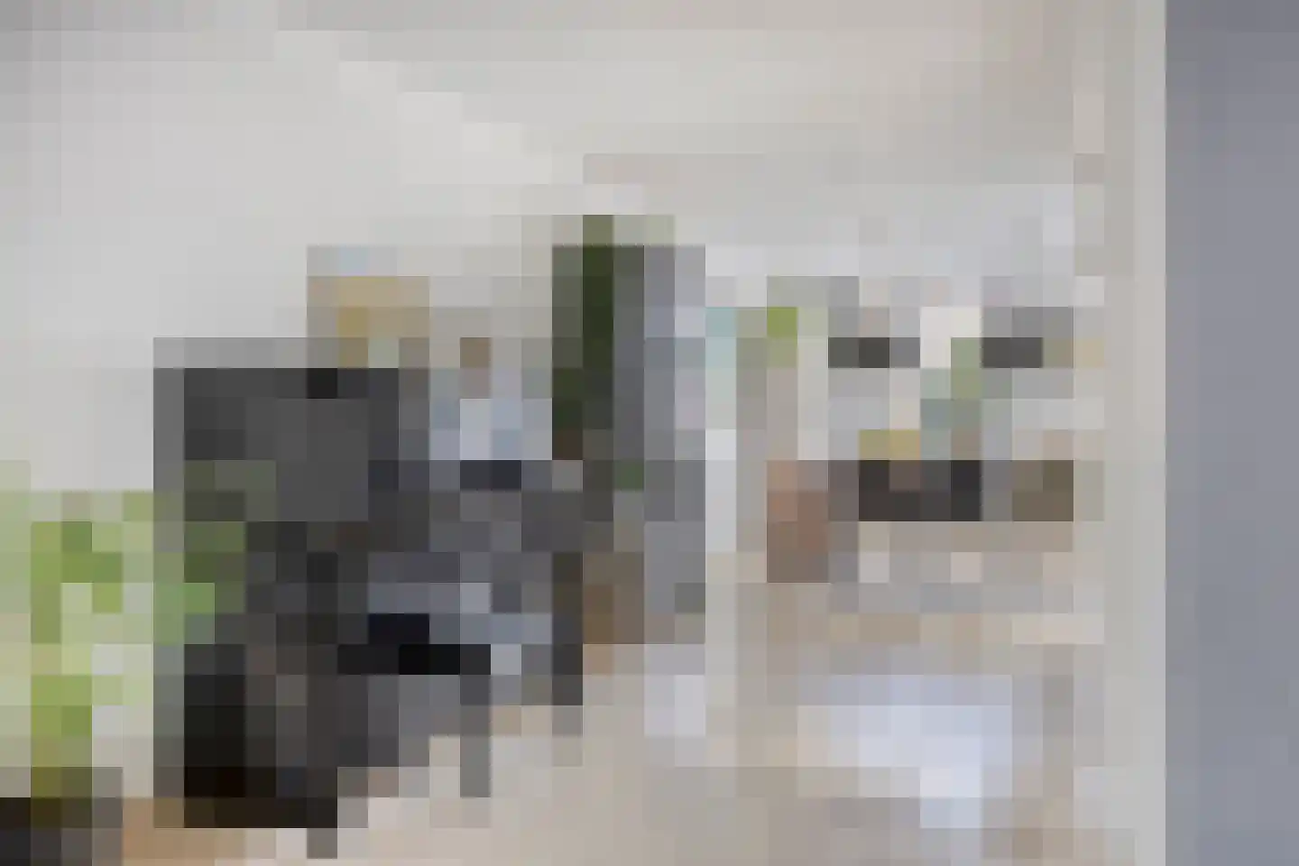 Lisvoort 3 Helmond thumbnail 14