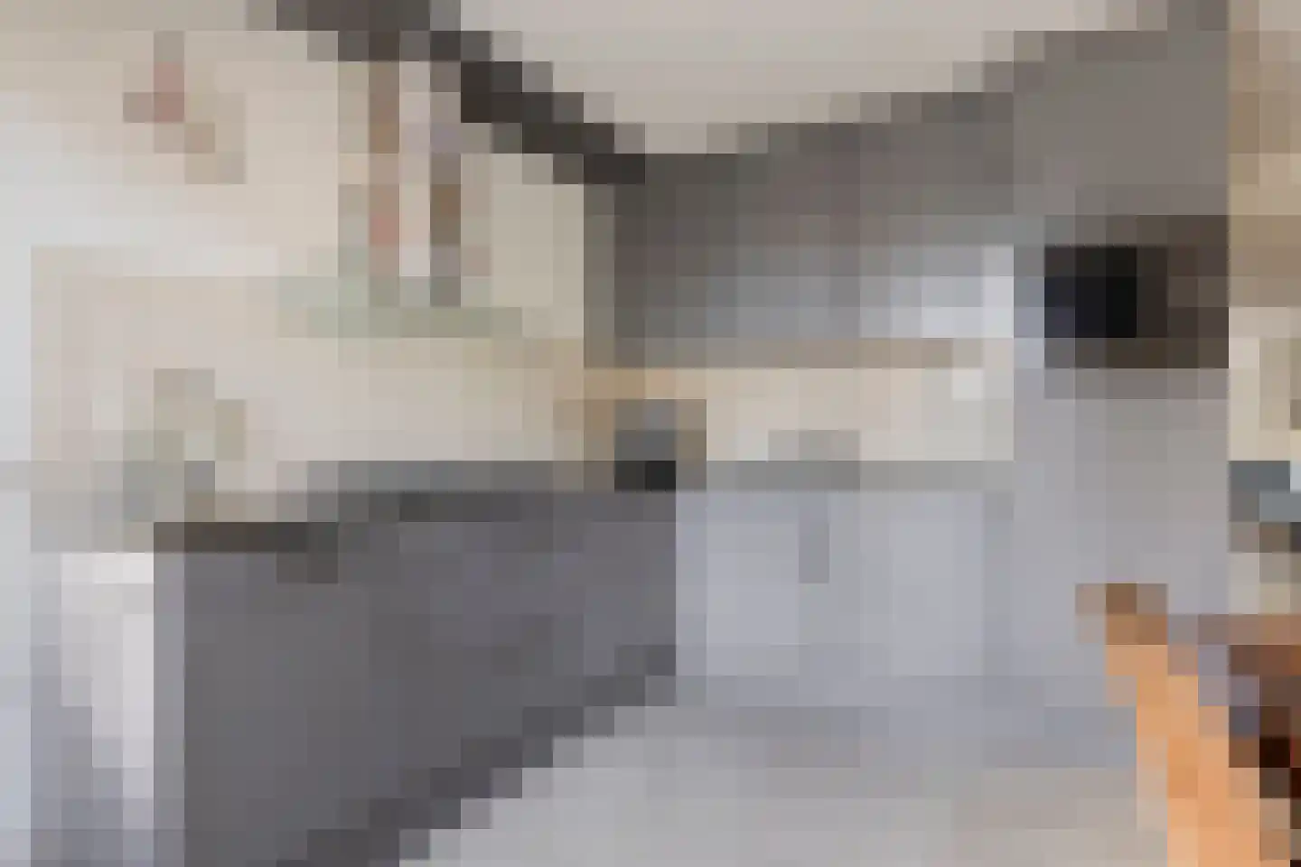 Lisvoort 3 Helmond thumbnail 4