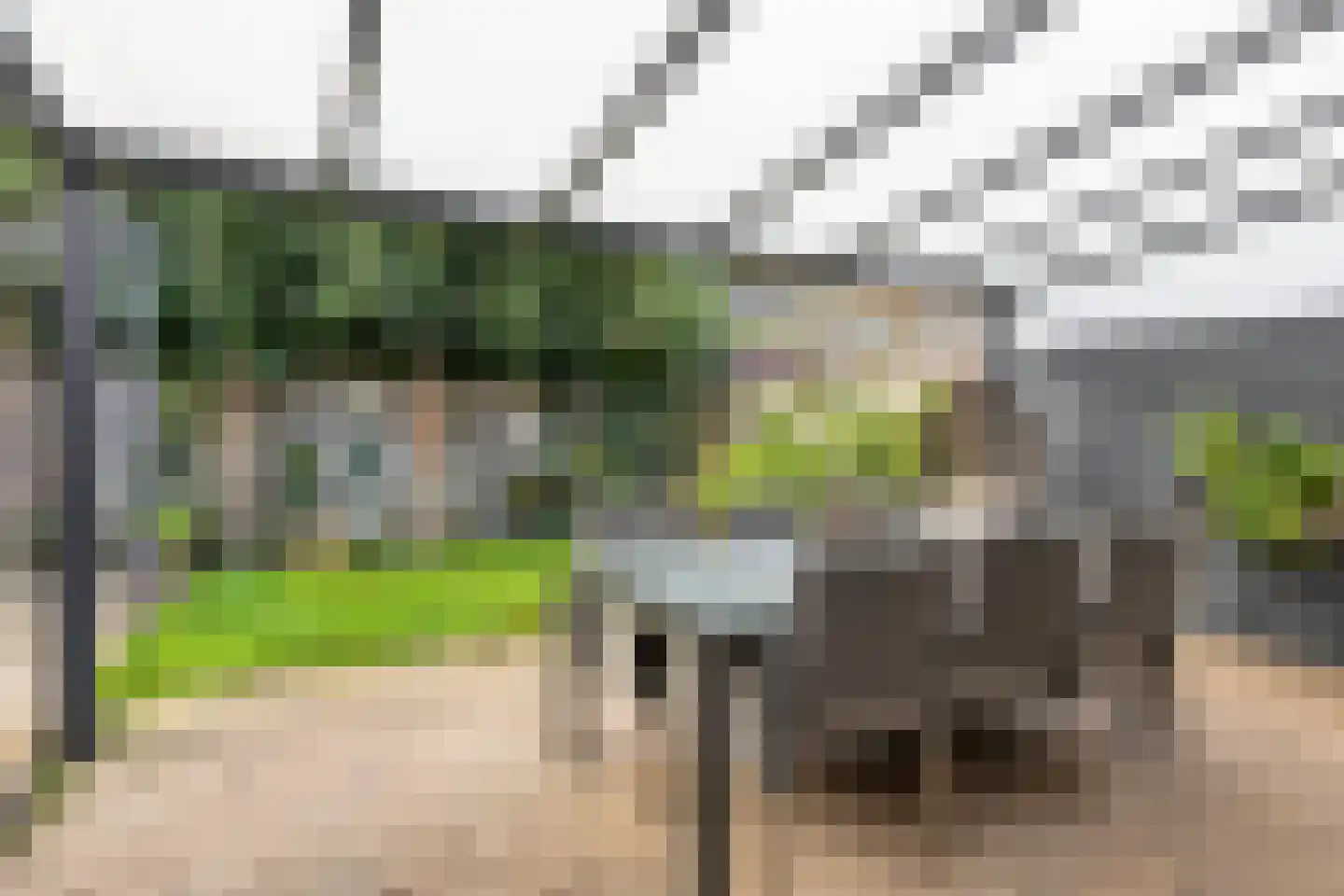 Lisvoort 3 Helmond thumbnail 6