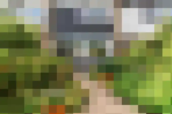 Lisweg 149 Oostzaan thumbnail 23