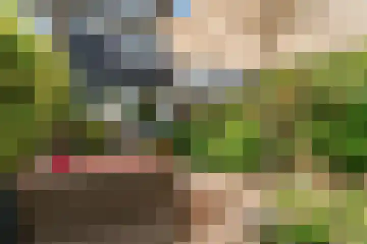 Lisweg 149 Oostzaan thumbnail 24