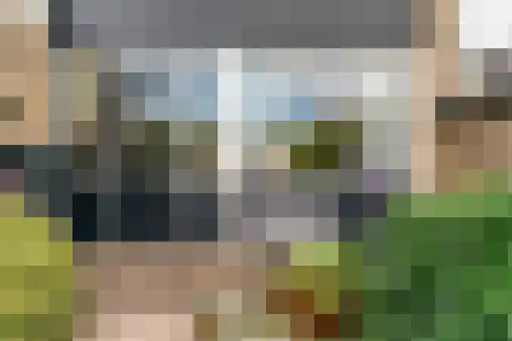 Lisweg 149 Oostzaan thumbnail 25