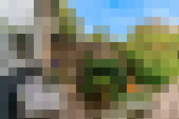 Lisweg 149 Oostzaan thumbnail 26