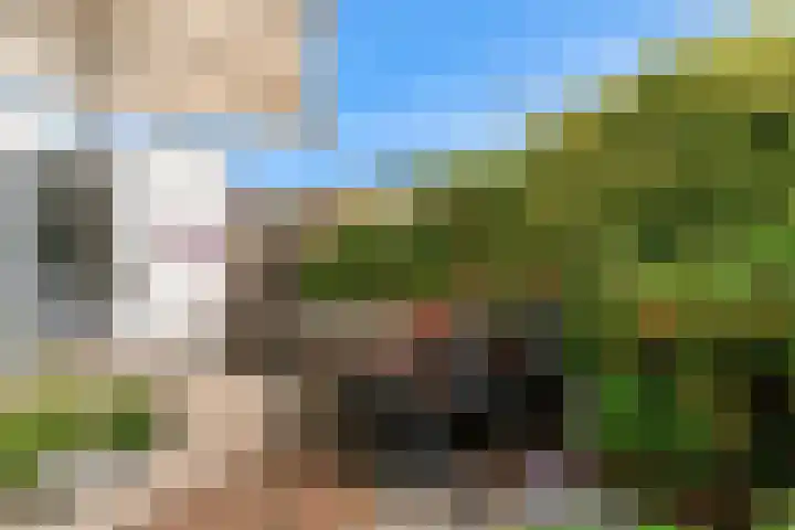 Lisweg 149 Oostzaan thumbnail 28