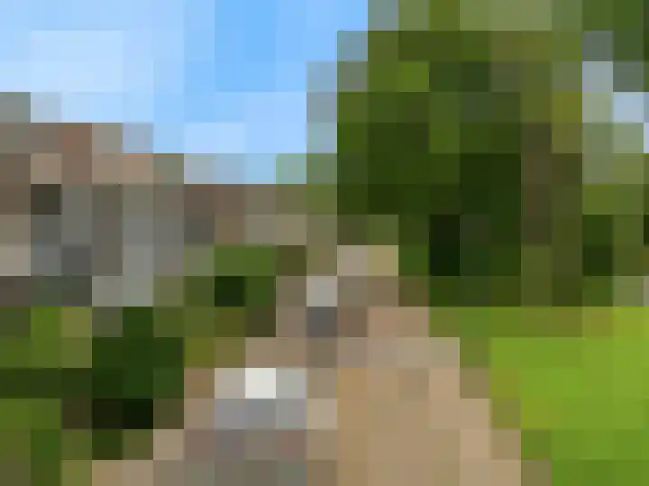 Lisweg 149 Oostzaan thumbnail 32
