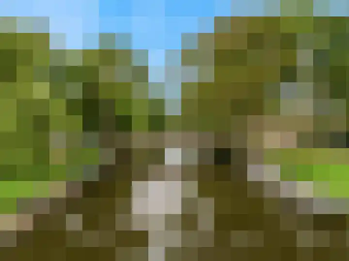 Lisweg 149 Oostzaan thumbnail 34