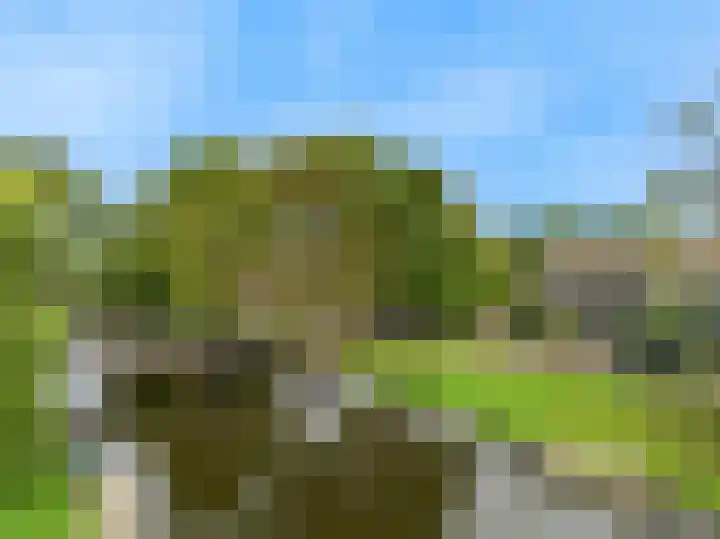 Lisweg 149 Oostzaan thumbnail 35
