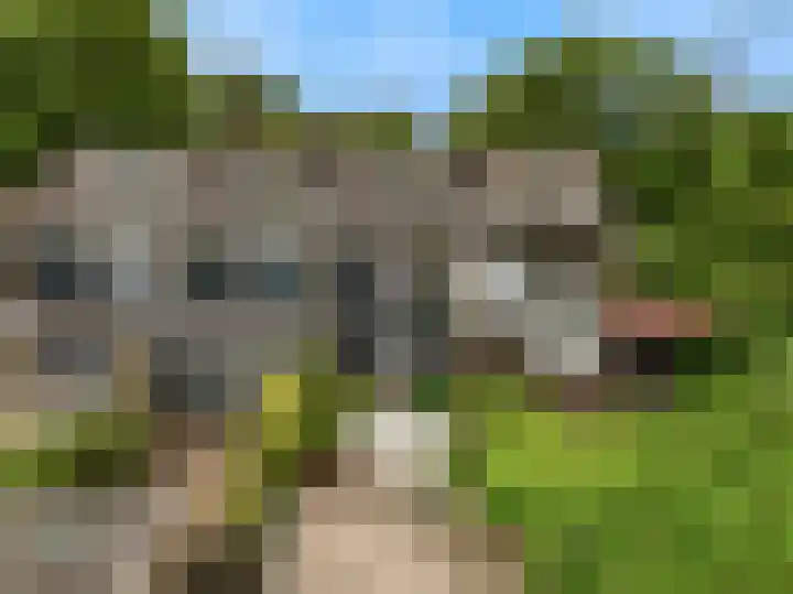 Lisweg 149 Oostzaan thumbnail 4