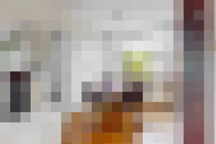 Lisweg 149 Oostzaan thumbnail 9