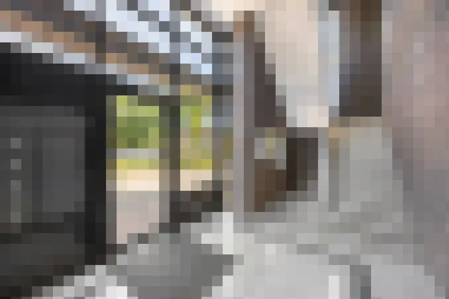 Lisweg 20 Echt thumbnail 10
