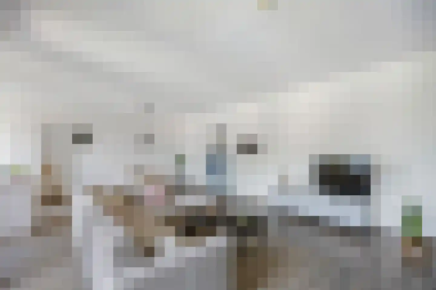 Lisweg 20 Echt thumbnail 17