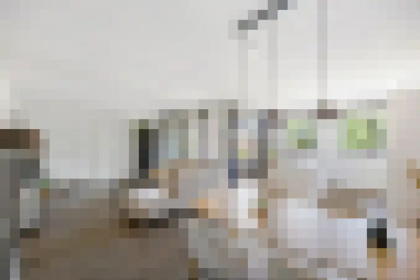 Lisweg 20 Echt thumbnail 20