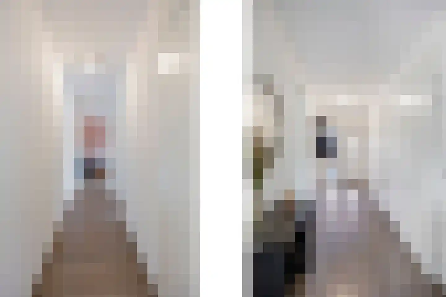 Lisweg 20 Echt thumbnail 28