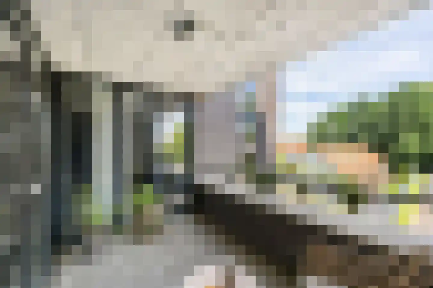 Lisweg 20 Echt thumbnail 41