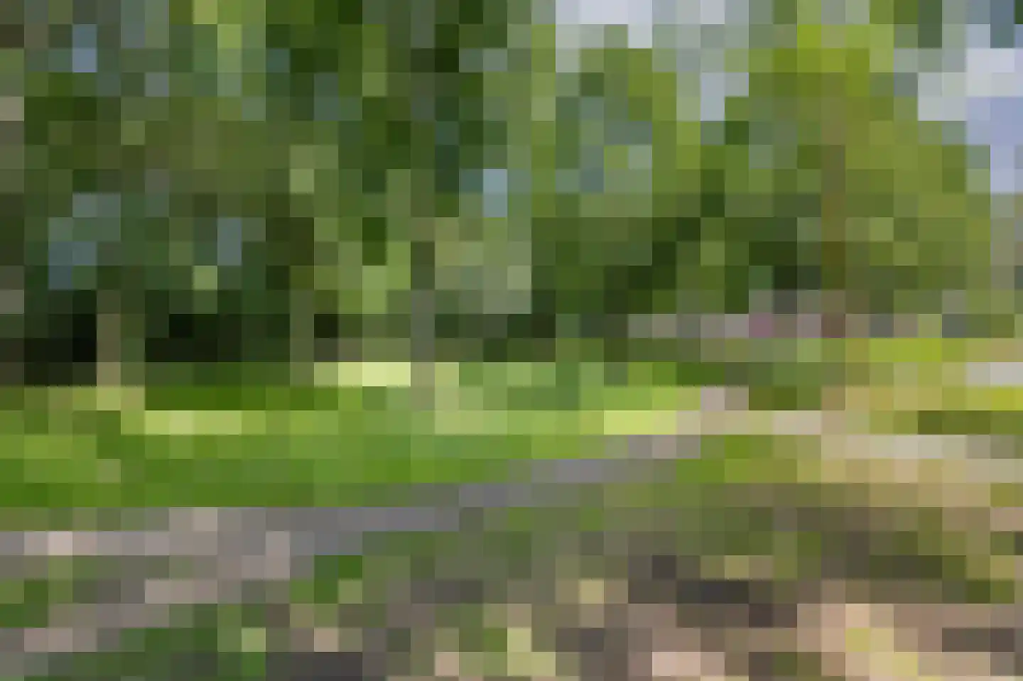 Lisweg 20 Echt thumbnail 50