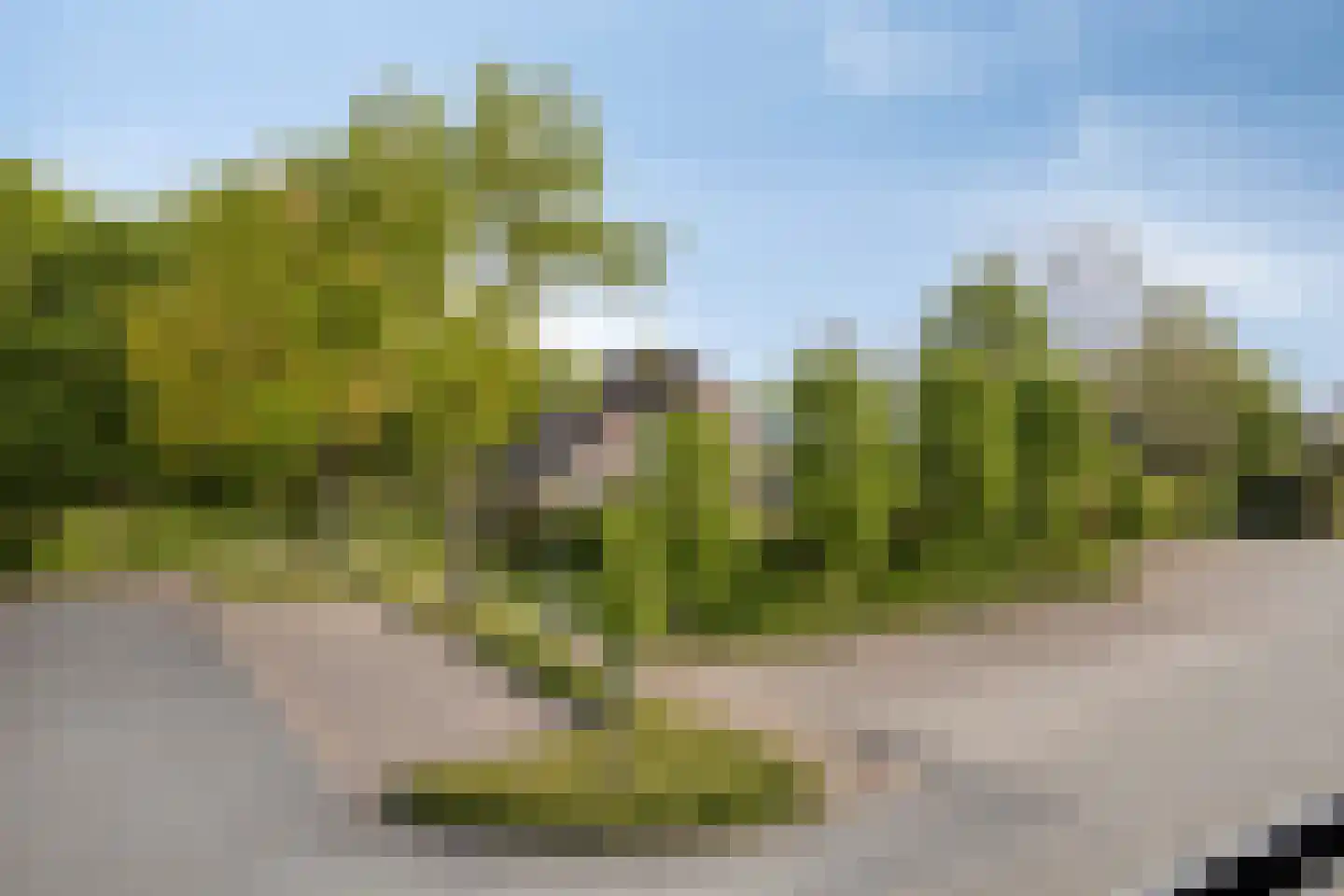 Lisweg 22 Echt thumbnail 17