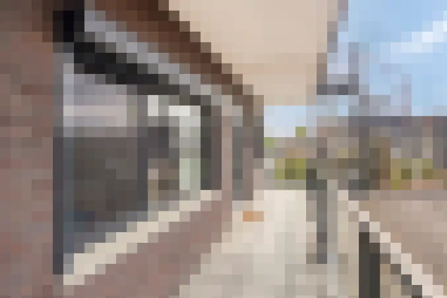 Lisweg 22 Echt thumbnail 19