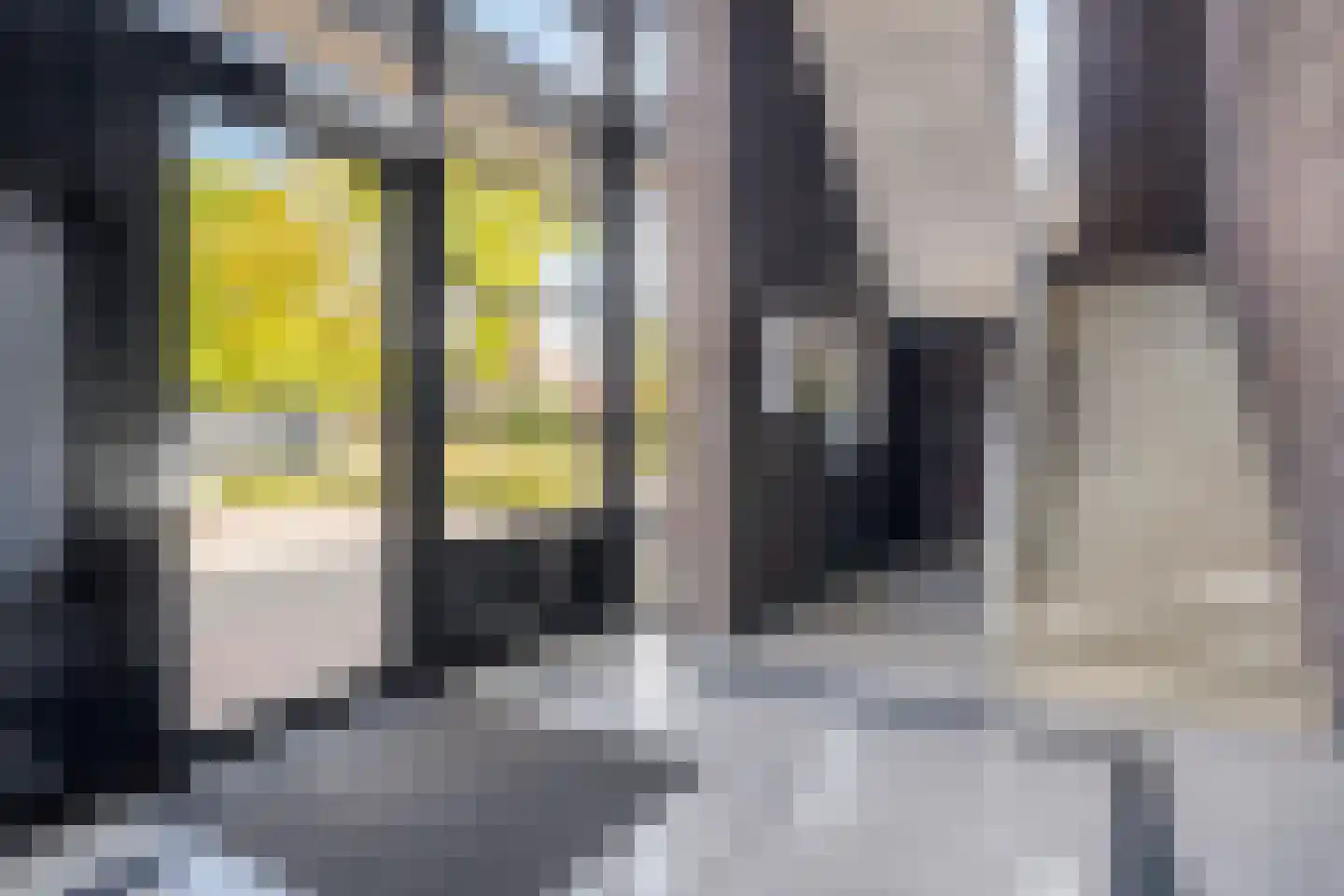 Lisweg 22 Echt thumbnail 22