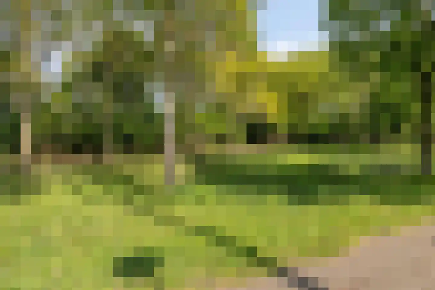 Lisweg 22 Echt thumbnail 31