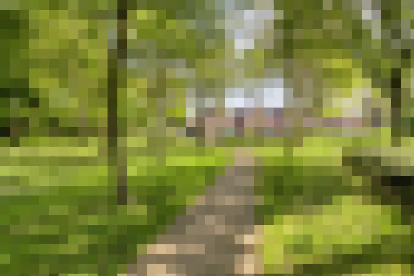 Lisweg 22 Echt thumbnail 32
