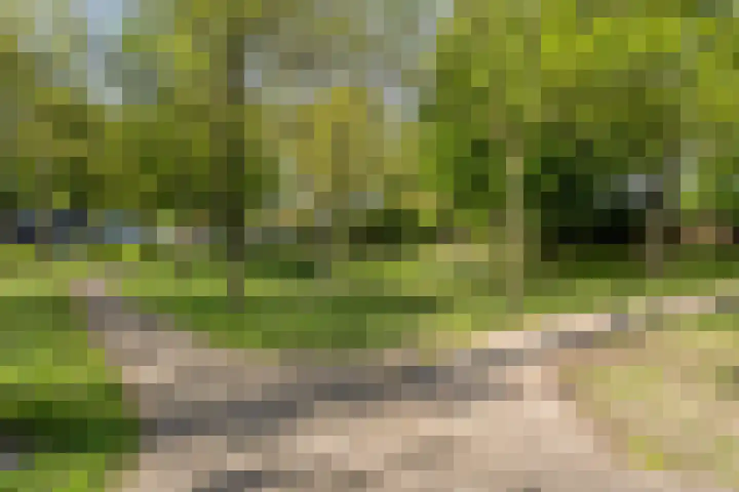 Lisweg 22 Echt thumbnail 33