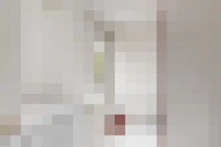 Lisweg 305 Oostzaan thumbnail 11