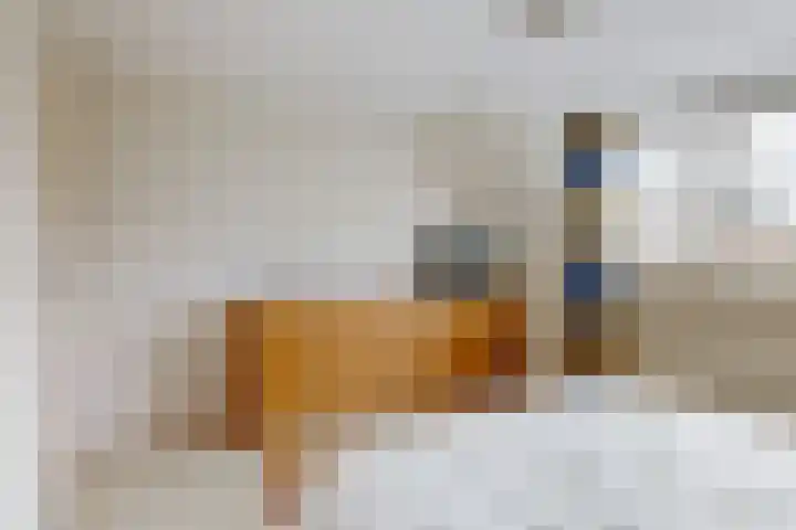 Lisweg 305 Oostzaan thumbnail 14