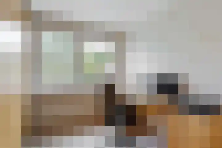 Lisweg 305 Oostzaan thumbnail 15