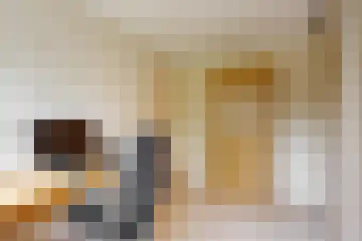 Lisweg 305 Oostzaan thumbnail 16