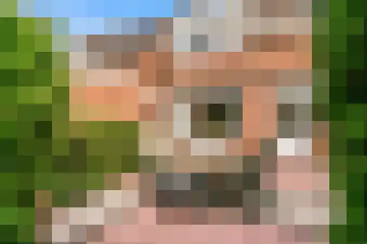Lisweg 305 Oostzaan thumbnail 26