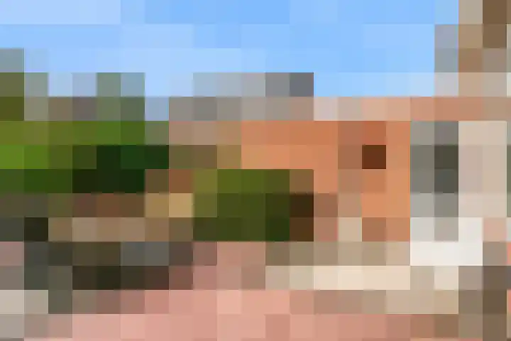 Lisweg 305 Oostzaan thumbnail 28