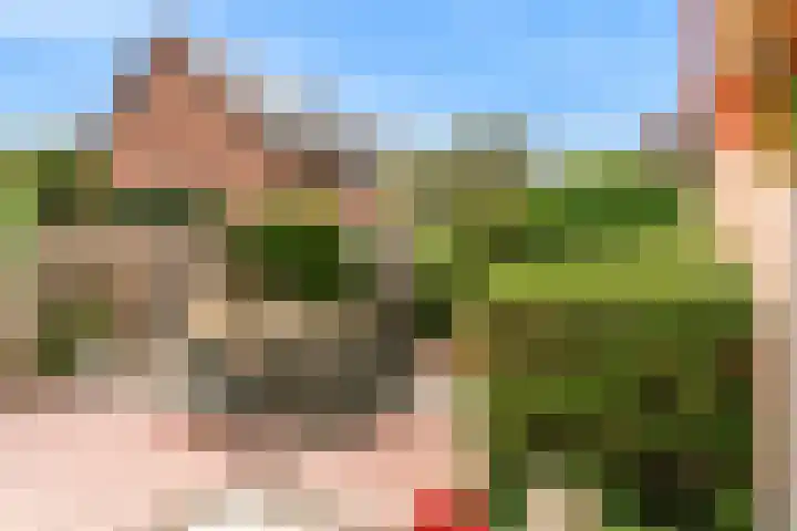 Lisweg 305 Oostzaan thumbnail 29