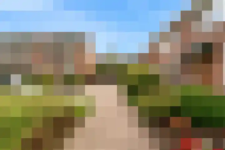 Lisweg 305 Oostzaan thumbnail 30