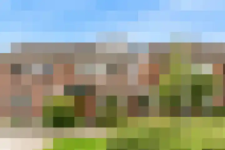 Lisweg 305 Oostzaan thumbnail 32