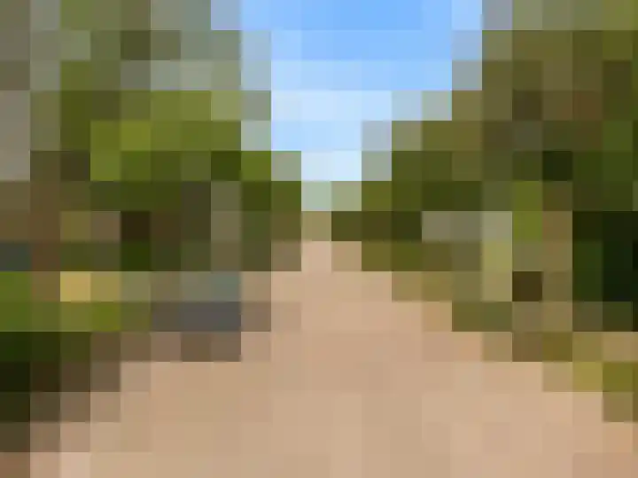 Lisweg 305 Oostzaan thumbnail 33