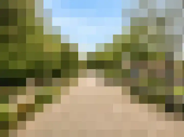 Lisweg 305 Oostzaan thumbnail 34