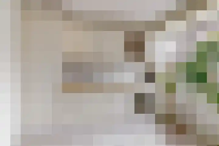 Lisweg 305 Oostzaan thumbnail 9