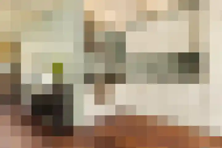 Lisweg 321 Oostzaan thumbnail 14