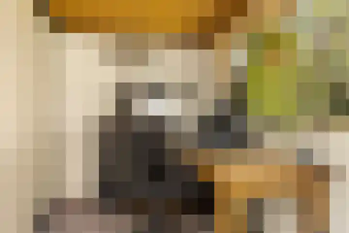 Lisweg 321 Oostzaan thumbnail 17