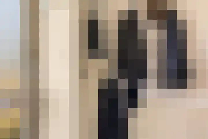 Lisweg 321 Oostzaan thumbnail 19