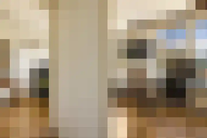 Lisweg 321 Oostzaan thumbnail 21