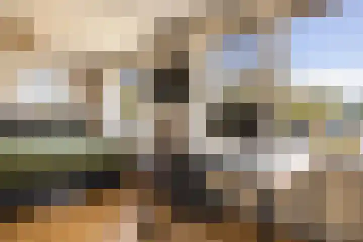 Lisweg 321 Oostzaan thumbnail 22