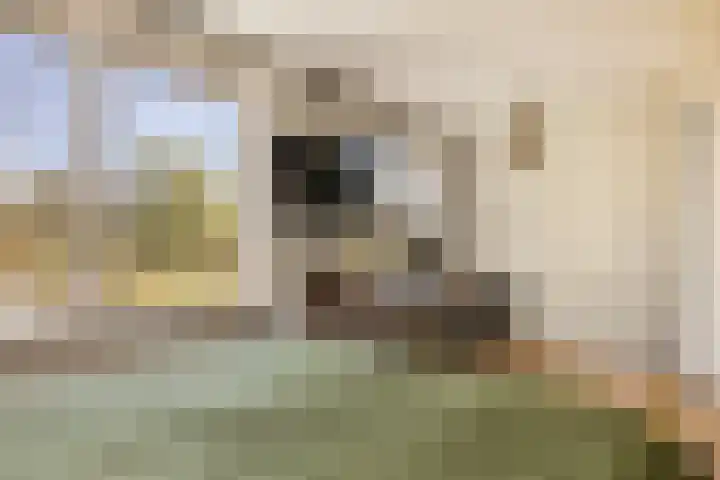 Lisweg 321 Oostzaan thumbnail 24