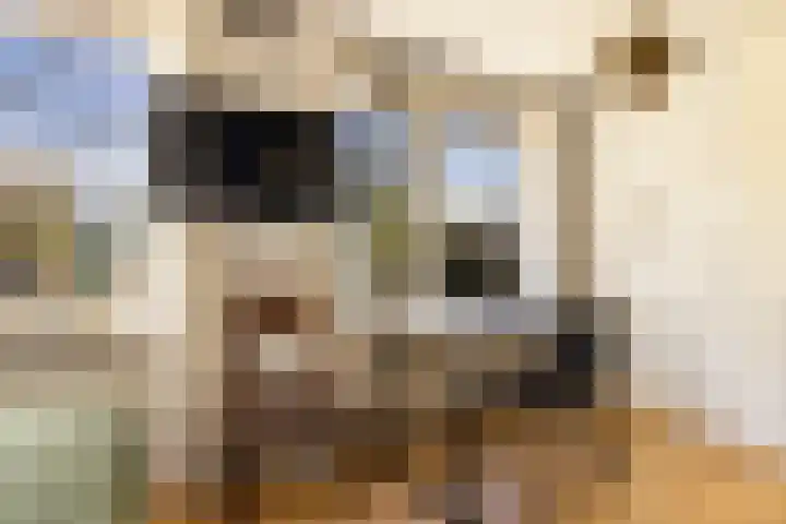 Lisweg 321 Oostzaan thumbnail 25