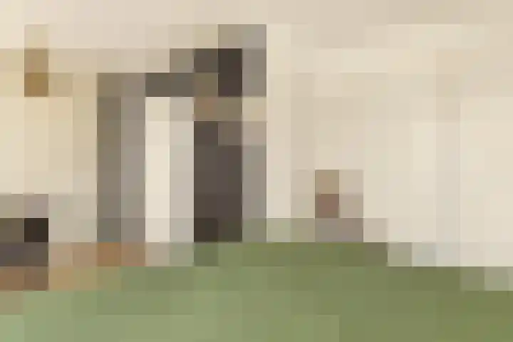 Lisweg 321 Oostzaan thumbnail 26