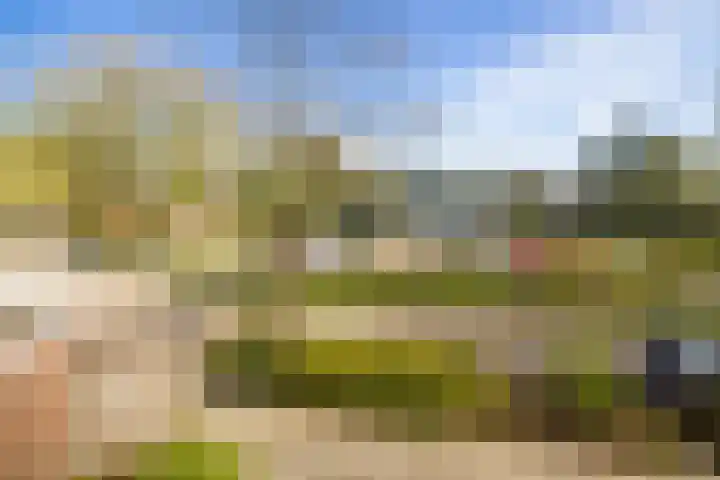 Lisweg 321 Oostzaan thumbnail 27