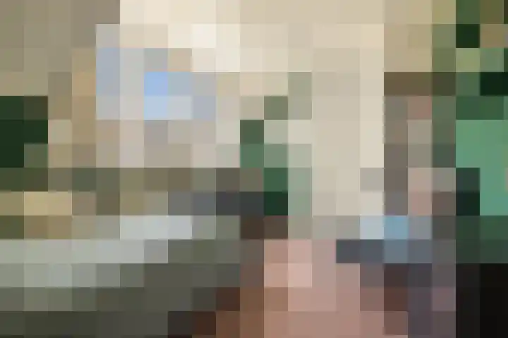 Lisweg 321 Oostzaan thumbnail 28