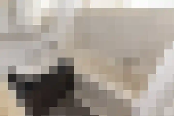 Lisweg 321 Oostzaan thumbnail 32
